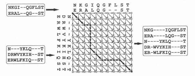P.59 Figure