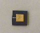 Photo of a chip of PSI 2